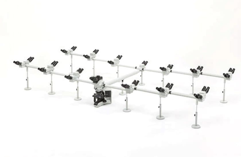 BX53LED+MOD 多人共览显微镜