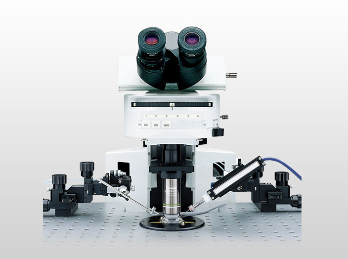 BX51WI 载物台固定式显微镜