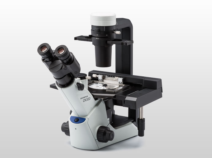 CKX53 倒置显微镜