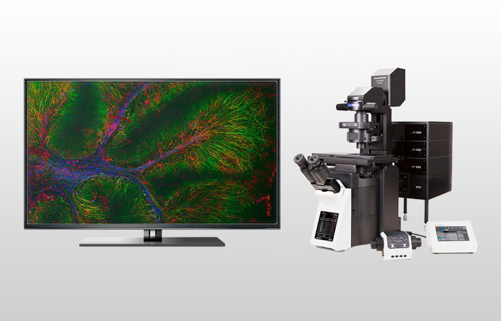 FV4000 激光扫描共聚焦显微镜
