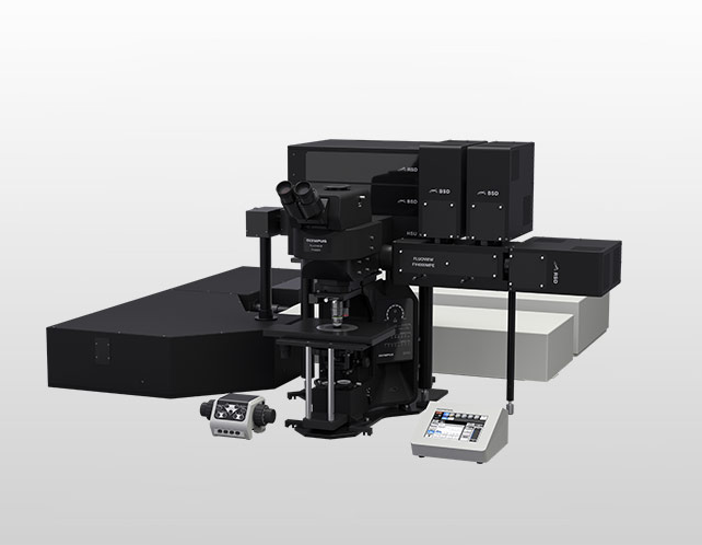 FV4000MPE 多光子激光扫描显微镜